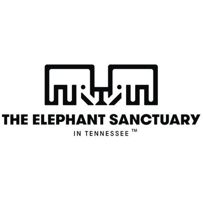 charity-08-Shannon Westmeyer Jewelry