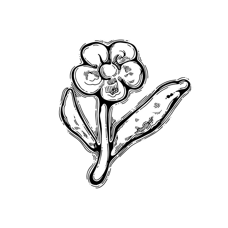 forget-Shannon Westmeyer Jewelry