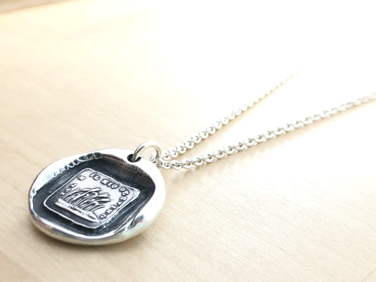 Resilience | Weather the Changes